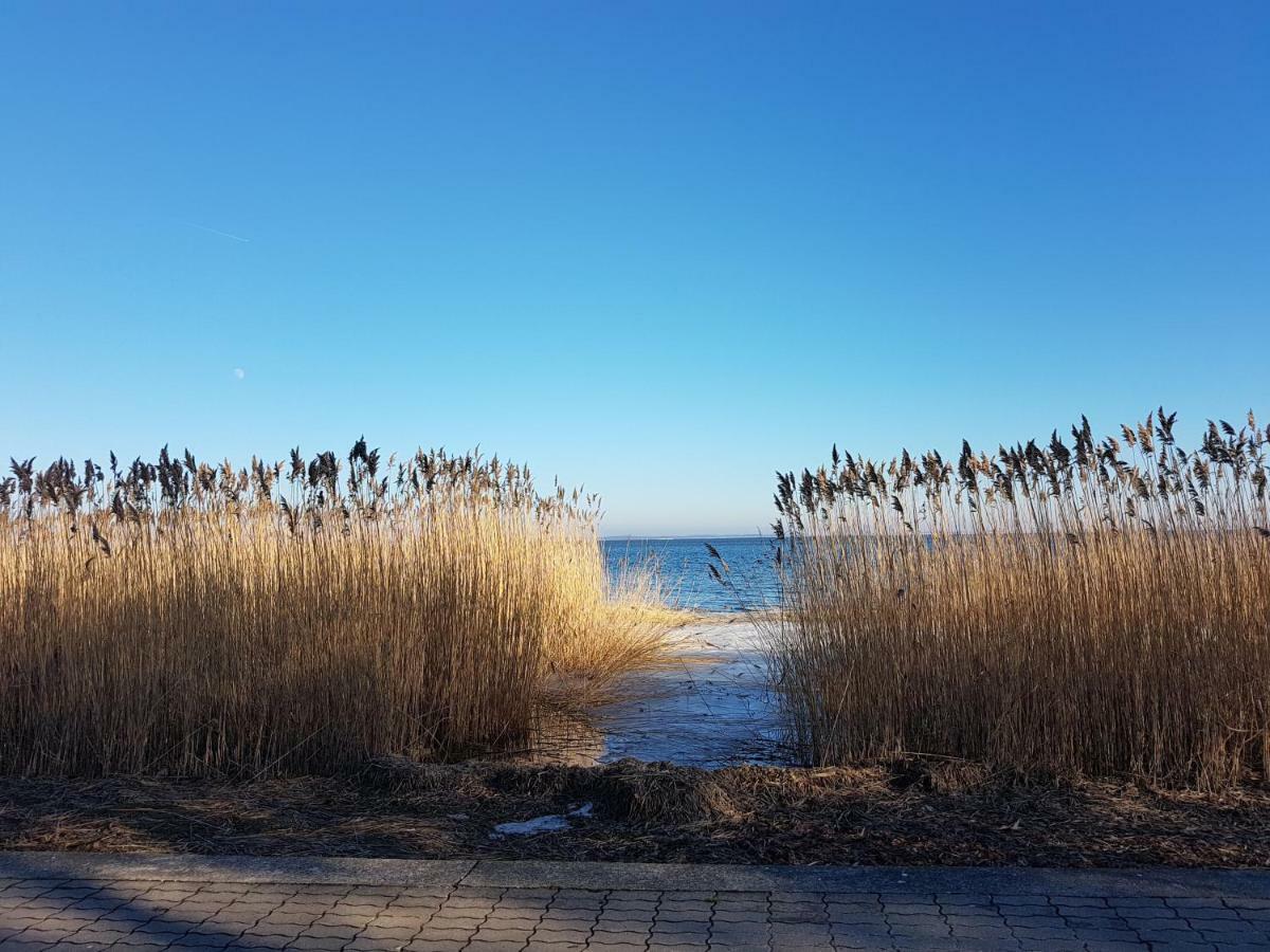 Smelte - Holiday Apartment In Juodkrantė エクステリア 写真